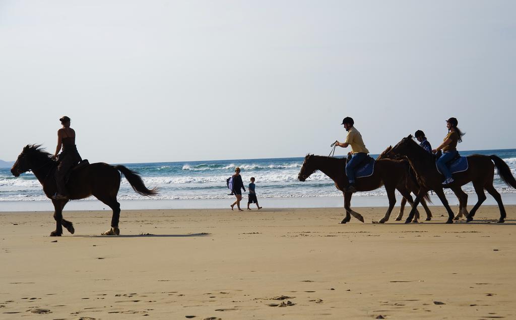 Crawfords Beach Lodge Ист-Лондон Экстерьер фото